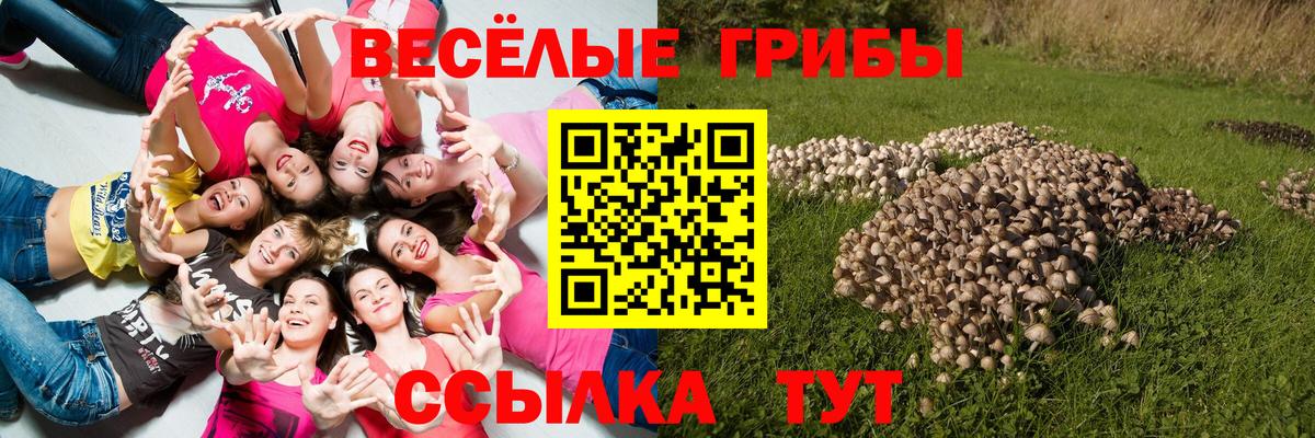 Галлюциногенные грибы мухоморы  как найти   Сердобск  Псилоцибиновые грибы Psilocybine cubensis  Вход с VPN 