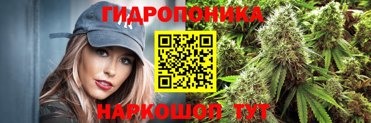 Марихуана планчик  Каннабис план  Канабис THC 21%  Вход с VPN  Сердобск 